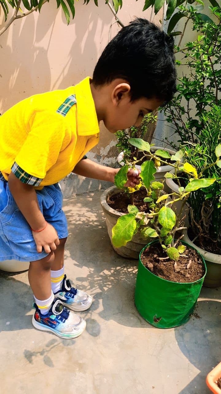 Child planting at Kidz Safari